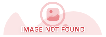 安心即時上工計畫